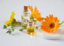 Tvořivé dílny - Kosmetické výrobky z bylin